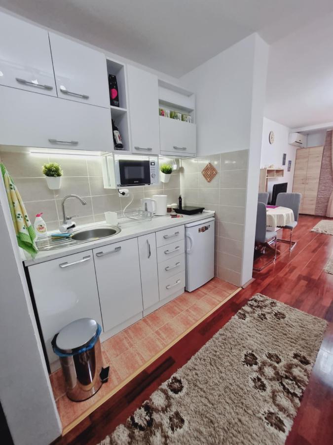 Apartman Temida Lux Vrnjačka Banja Kültér fotó