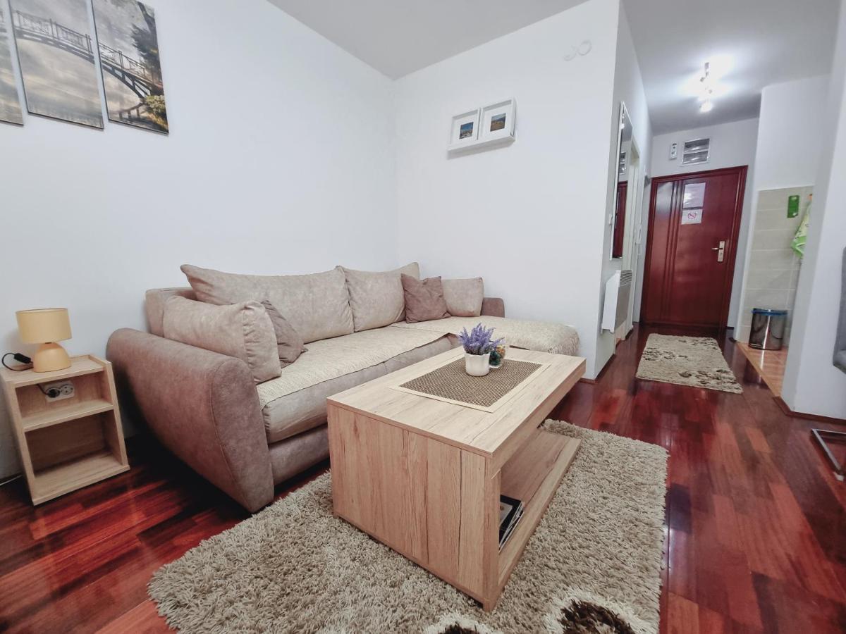 Apartman Temida Lux Vrnjačka Banja Kültér fotó
