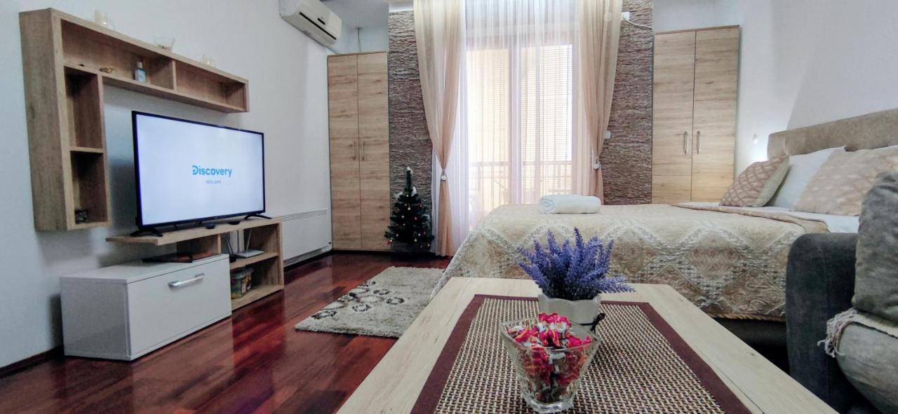 Apartman Temida Lux Vrnjačka Banja Kültér fotó